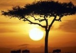 Hau Mundu Bitxia planeta honetako izaki bizidun eta ez bizidunen hainbat bitxikeria edo “kaskarrillo” azaltzen dituen irratsaio bat da. Bertan bai animali, landare naiz edozein elementu  deskribatzen dira, beraien aparteko ezaugarri eta ahalmenak aipatuz. Gurekin elkarbizitzen diren izakiak eta inguratzen digun mundu naturala ulertzea da helburua, ondoren hauek errespetatzen ikasten baitelako.
