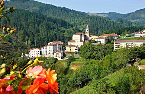 KOLAX Stand Up eta Angiozar